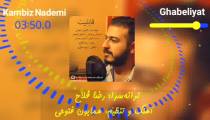 آهنگ "قابلیت" /خواننده: کامبیز نادمی (گروه اپسیس) /ترانه‌سرا: رضا فلاح (بجنوردی)