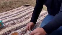 تشخیص عسل طبیعی با کبریت |تشخیص عسل تقلبی با سوزاندن ممکن است؟