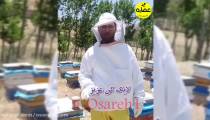 معرفی عسل چهل گیاه