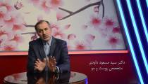 باورهای غلط درباره کوتاه کردن مو