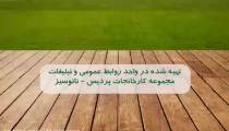 آمینوکلات اهن