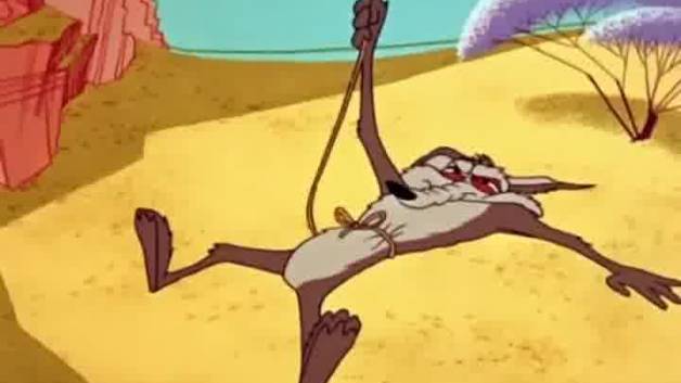 Wile E. Coyote and Road Runner    کایوت و رودرانر   62 قسمت کامل در یک فایل