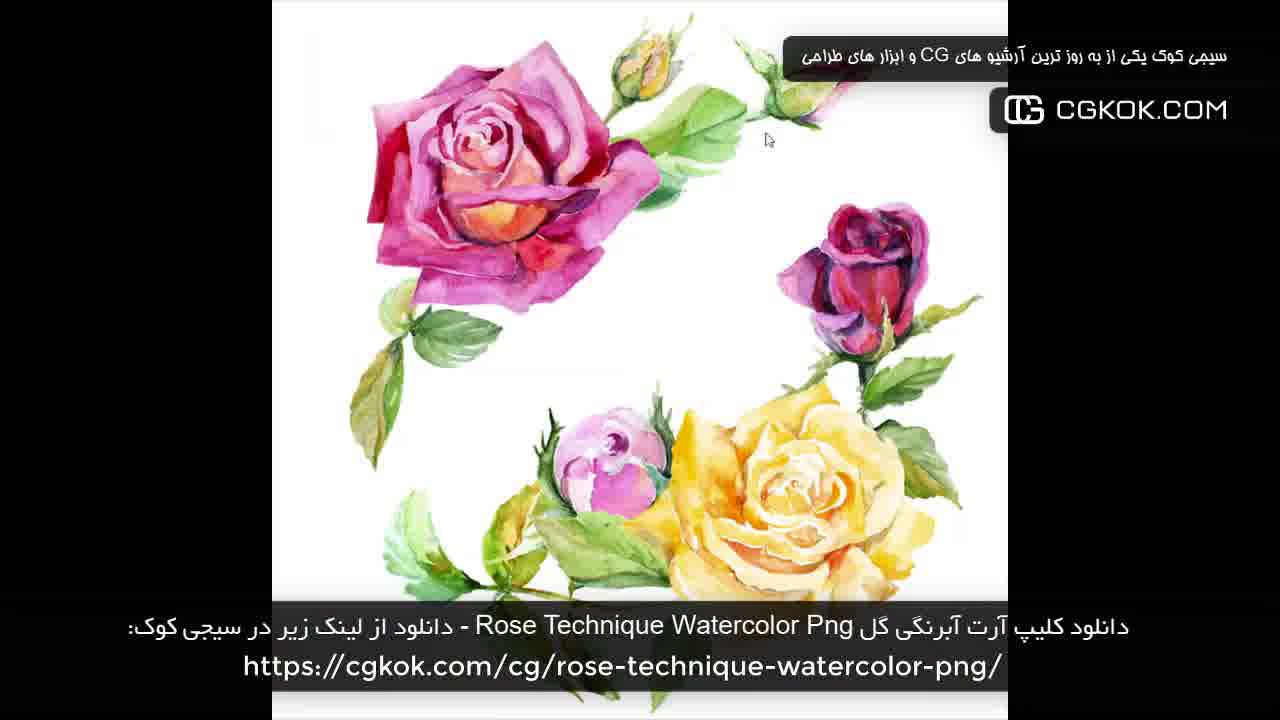 دانلود کلیپ آرت آبرنگی گل Rose Technique Watercolor Png