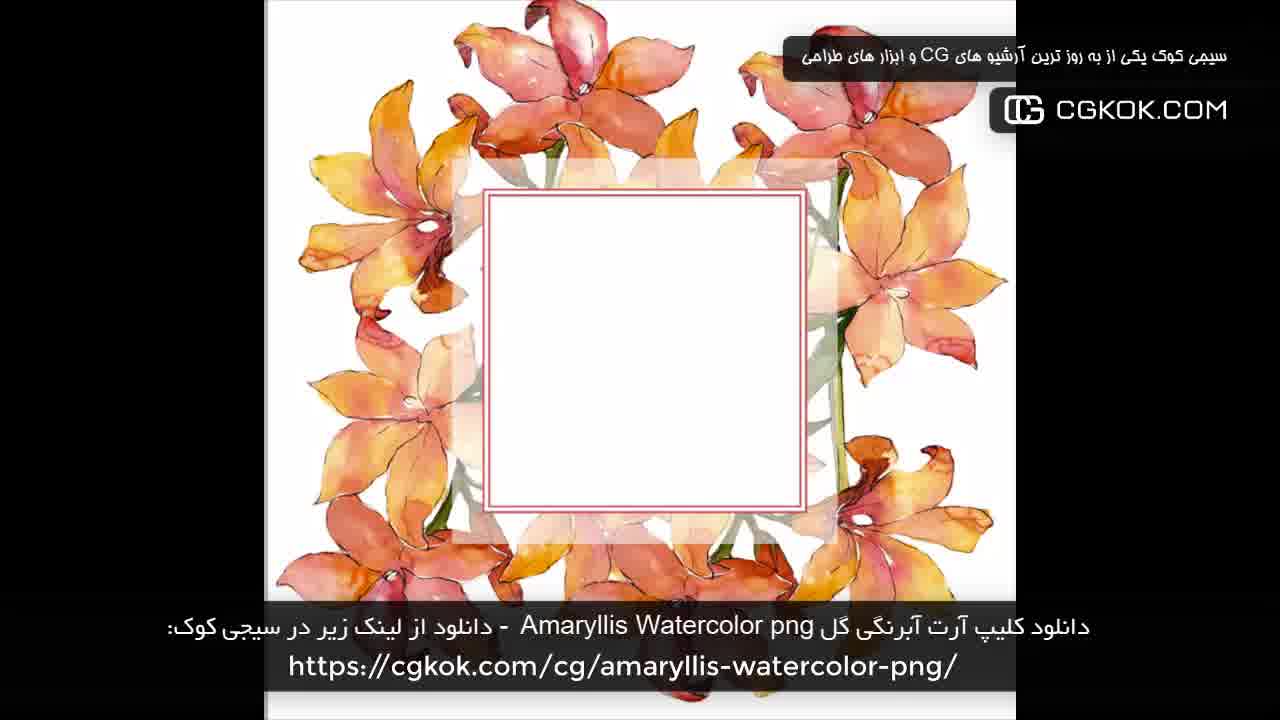 دانلود کلیپ آرت آبرنگی گل Amaryllis Watercolor png
