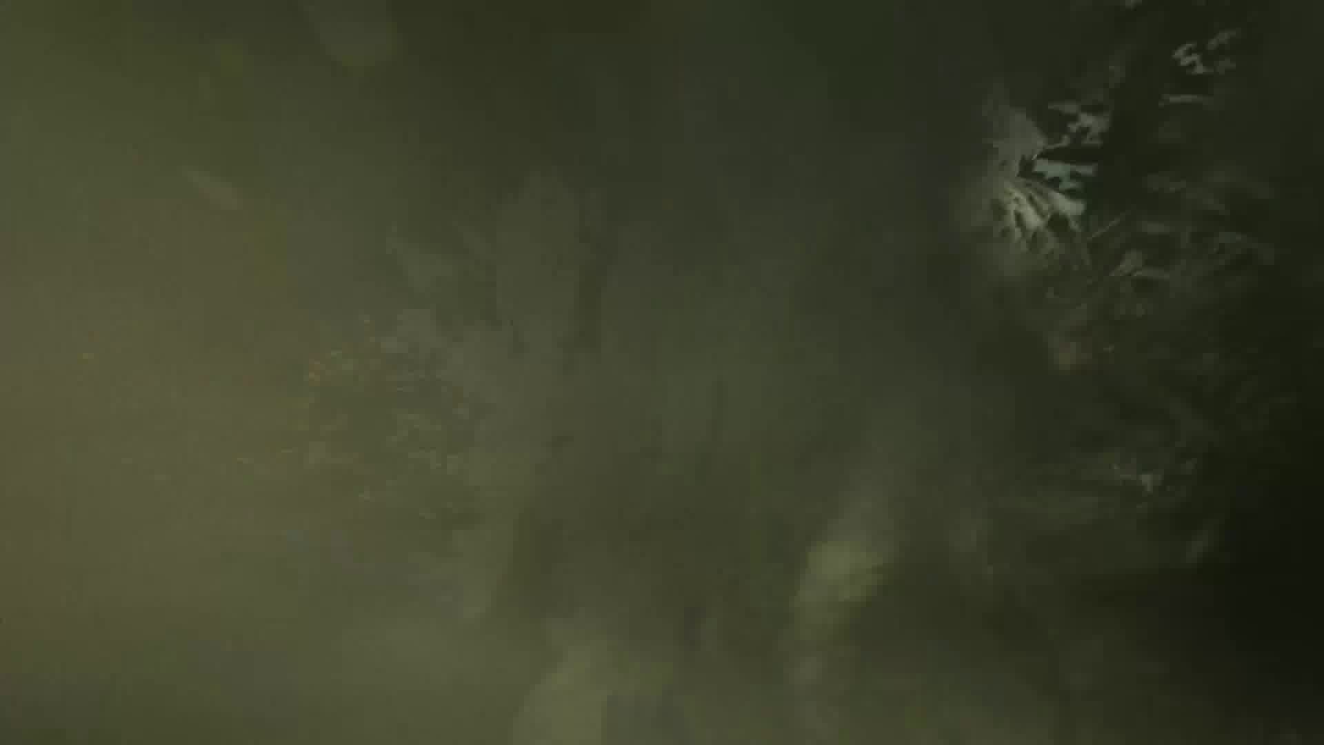 لوگو موشن زمستانی