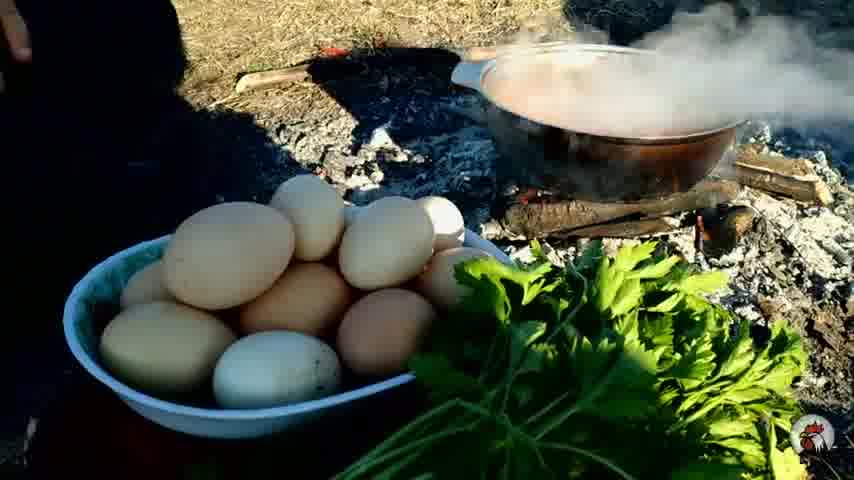 آشپزی آذربایجان (126)