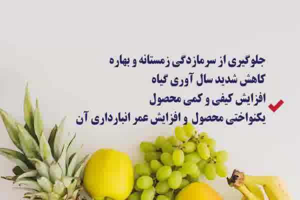 محصول ضدسرمازدگی گیاه